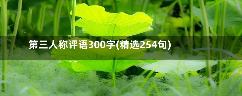 第三人称评语300字(精选254句)