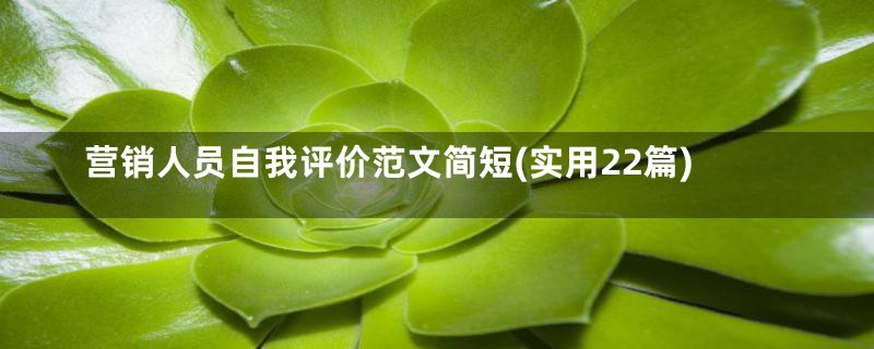 营销人员自我评价范文简短(实用22篇)