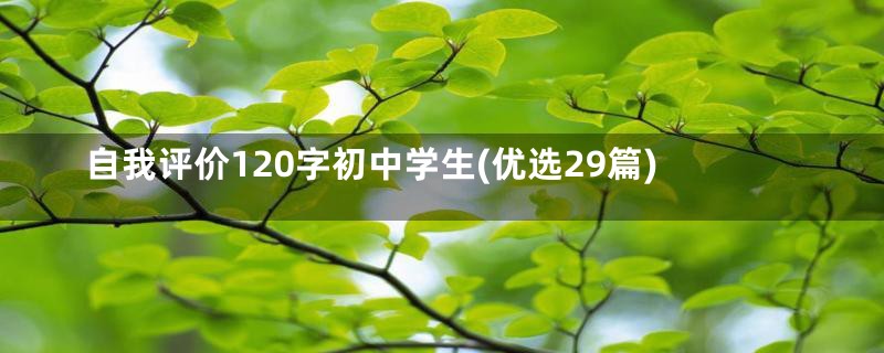 自我评价120字初中学生(优选29篇)