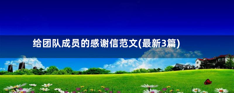 给团队成员的感谢信范文(最新3篇)