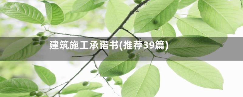 建筑施工承诺书(推荐39篇)