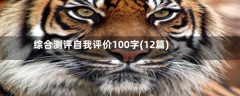 综合测评自我评价100字(12篇)