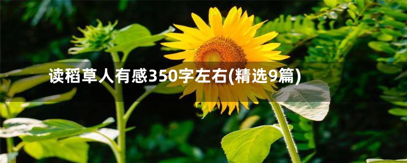 读稻草人有感350字左右(精选9篇)