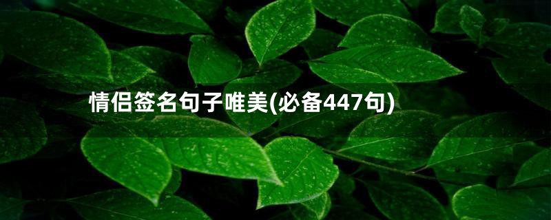 情侣签名句子唯美(必备447句)