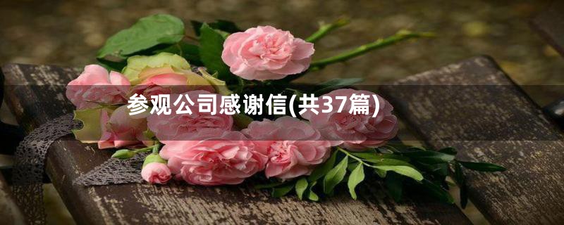 参观公司感谢信(共37篇)