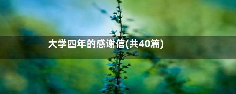 大学四年的感谢信(共40篇)