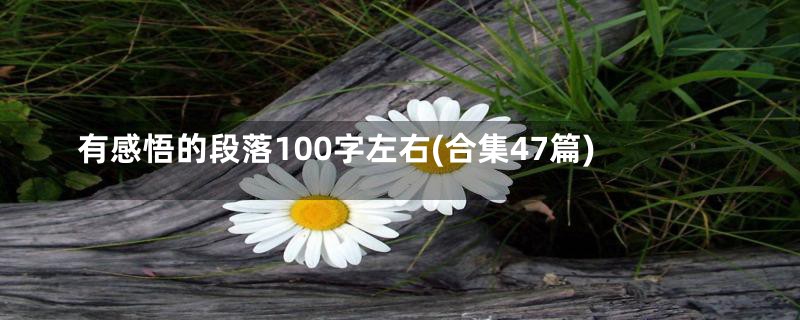 有感悟的段落100字左右(合集47篇)