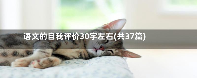 语文的自我评价30字左右(共37篇)