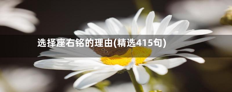 选择座右铭的理由(精选415句)