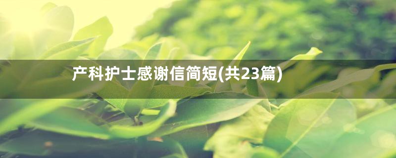 产科护士感谢信简短(共23篇)