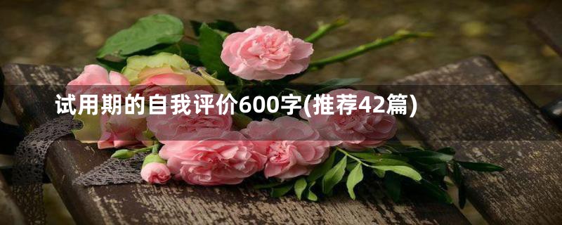 试用期的自我评价600字(推荐42篇)