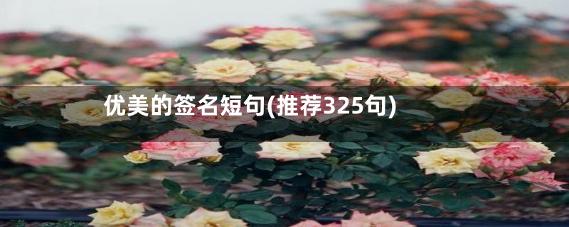 优美的签名短句(推荐325句)