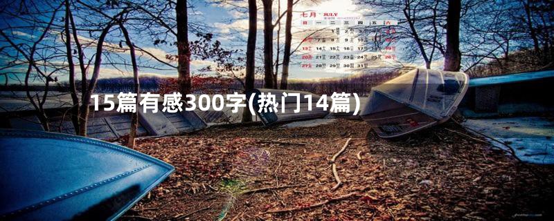 15篇有感300字(热门14篇)