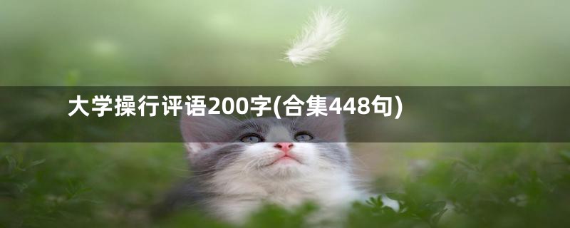 大学操行评语200字(合集448句)