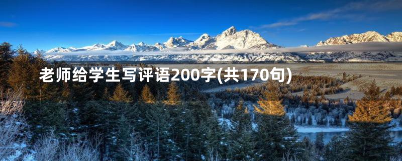 老师给学生写评语200字(共170句)