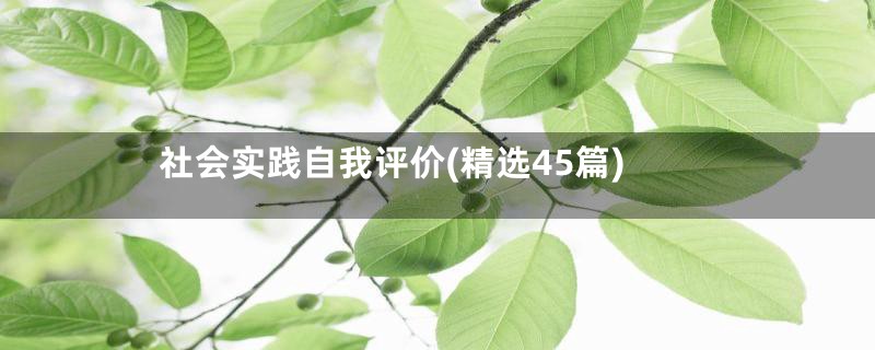 社会实践自我评价(精选45篇)