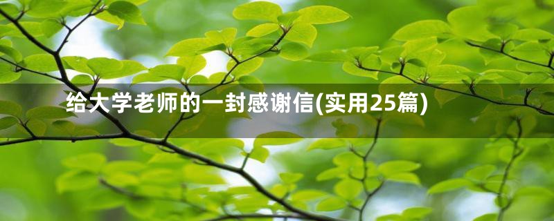 给大学老师的一封感谢信(实用25篇)