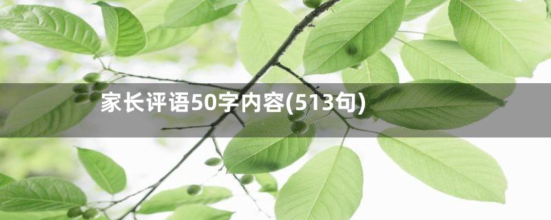 家长评语50字内容(513句)