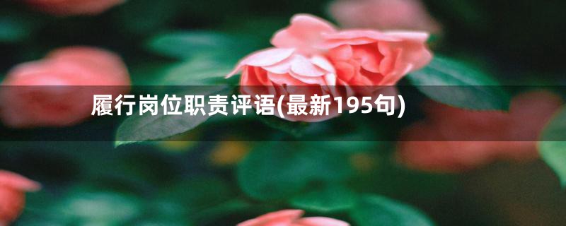 履行岗位职责评语(最新195句)