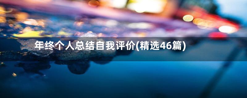 年终个人总结自我评价(精选46篇)