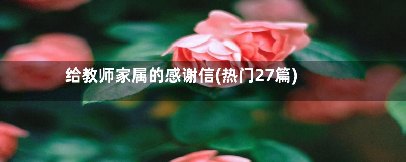 给教师家属的感谢信(热门27篇)