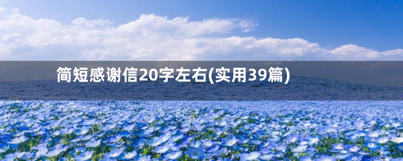 简短感谢信20字左右(实用39篇)