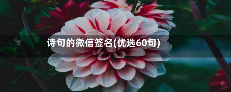 诗句的微信签名(优选60句)