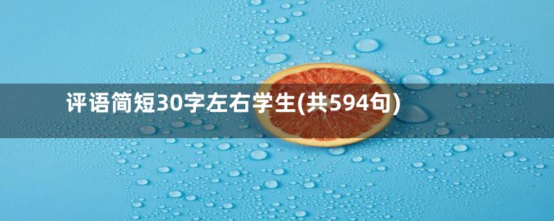 评语简短30字左右学生(共594句)