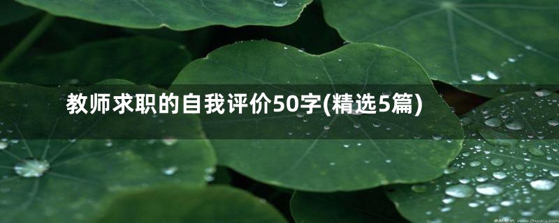 教师求职的自我评价50字(精选5篇)