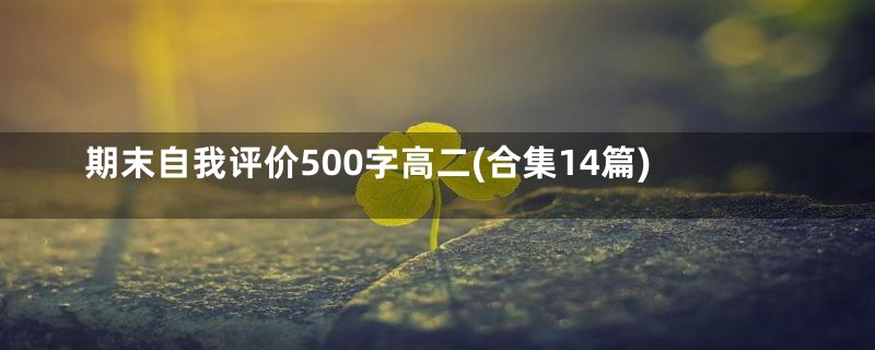 期末自我评价500字高二(合集14篇)