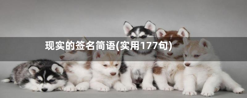 现实的签名简语(实用177句)