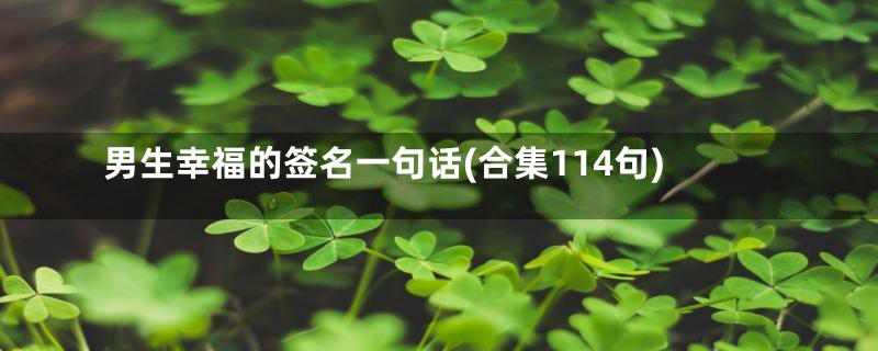 男生幸福的签名一句话(合集114句)