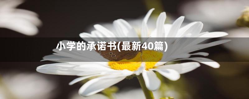 小学的承诺书(最新40篇)