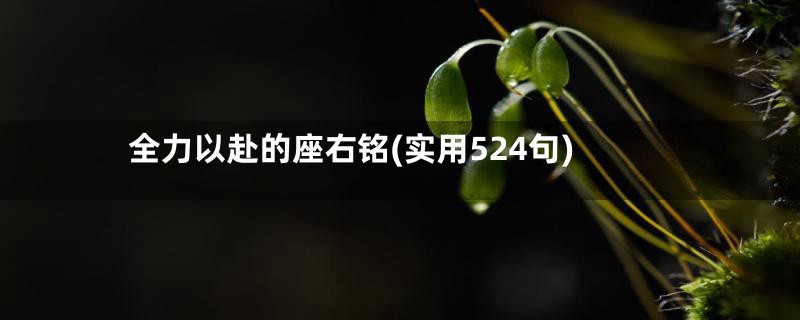 全力以赴的座右铭(实用524句)