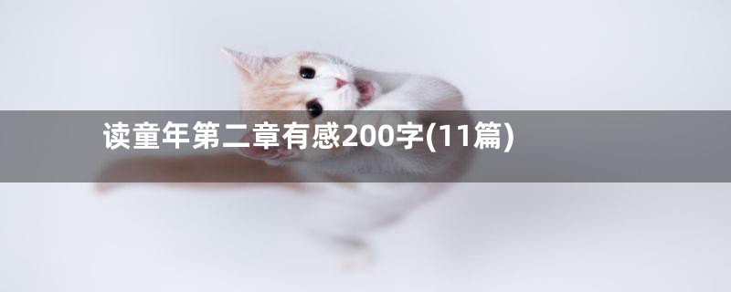 读童年第二章有感200字(11篇)