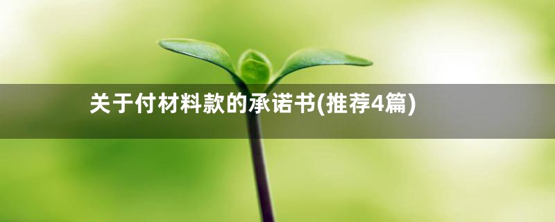 关于付材料款的承诺书(推荐4篇)