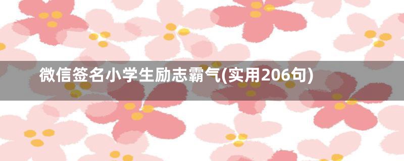 微信签名小学生励志霸气(实用206句)