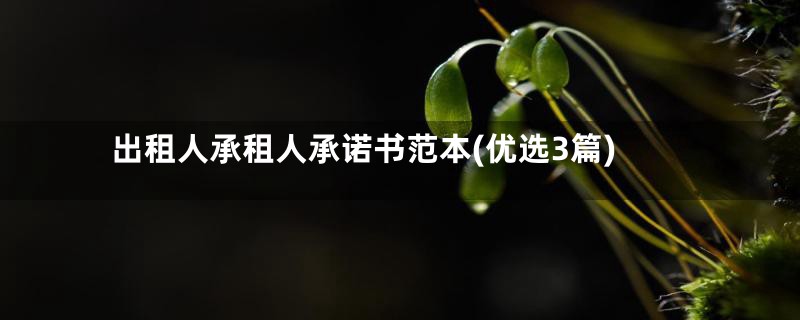 出租人承租人承诺书范本(优选3篇)