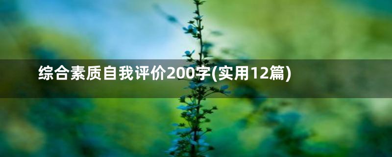 综合素质自我评价200字(实用12篇)