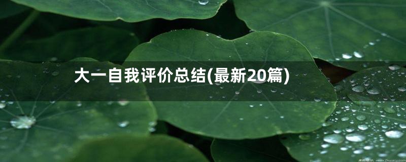 大一自我评价总结(最新20篇)