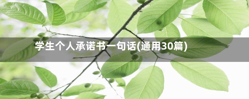 学生个人承诺书一句话(通用30篇)