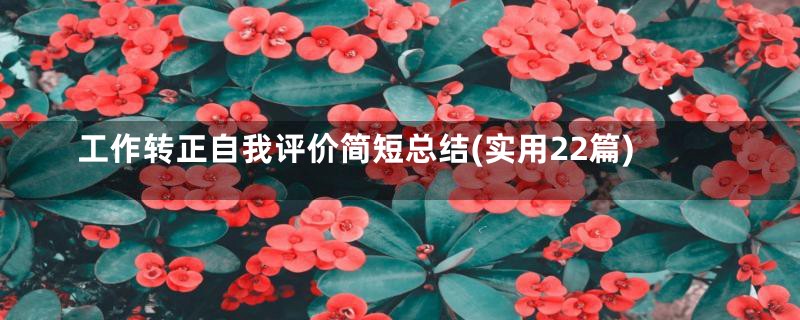 工作转正自我评价简短总结(实用22篇)