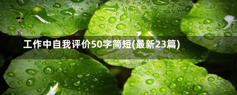 工作中自我评价50字简短(最新23篇)