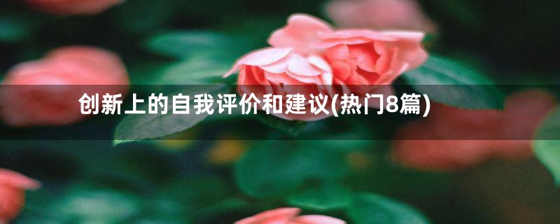 创新上的自我评价和建议(热门8篇)