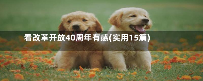 看改革开放40周年有感(实用15篇)