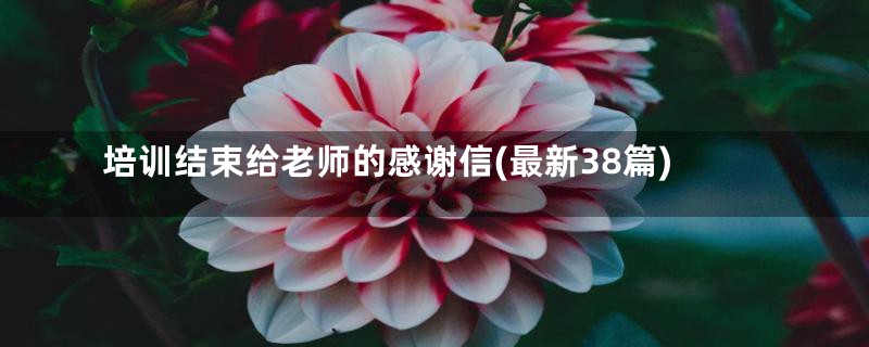 培训结束给老师的感谢信(最新38篇)