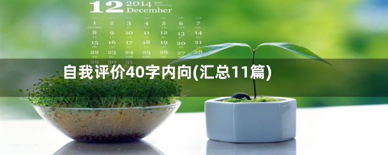 自我评价40字内向(汇总11篇)