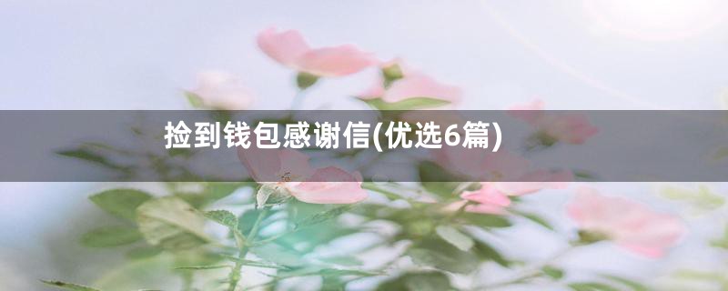 捡到钱包感谢信(优选6篇)