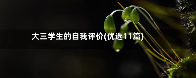 大三学生的自我评价(优选11篇)