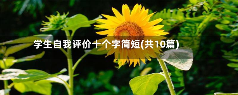 学生自我评价十个字简短(共10篇)